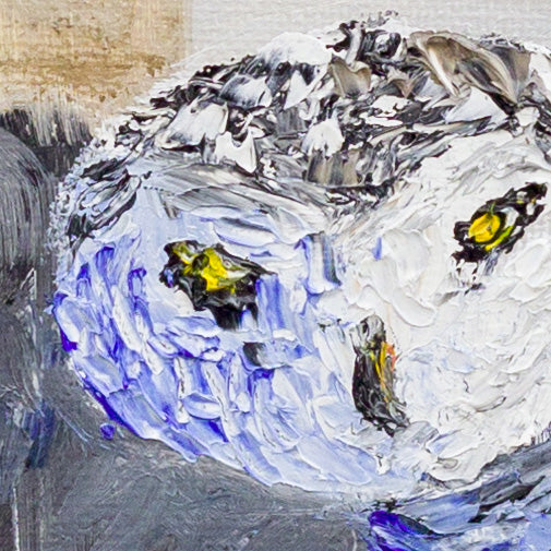 Hedwig