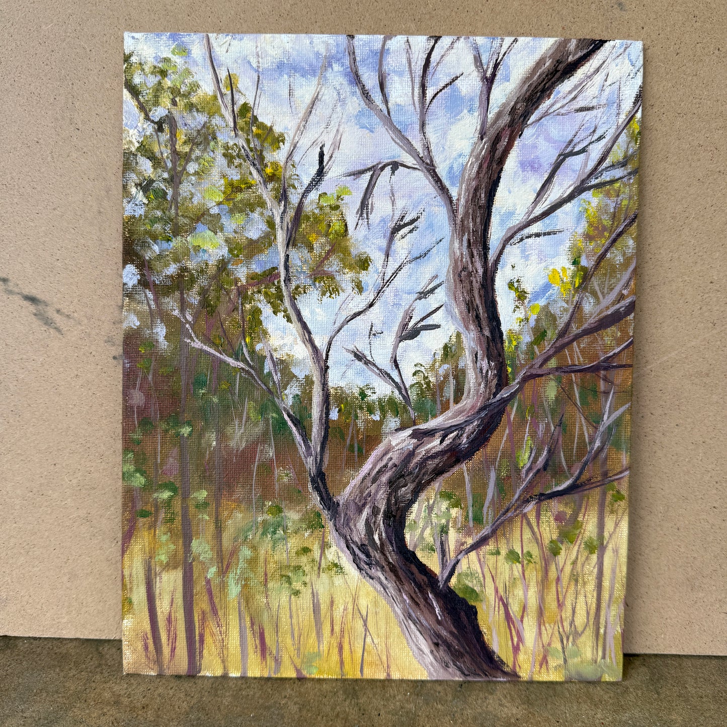 Various Plein Air Paintings