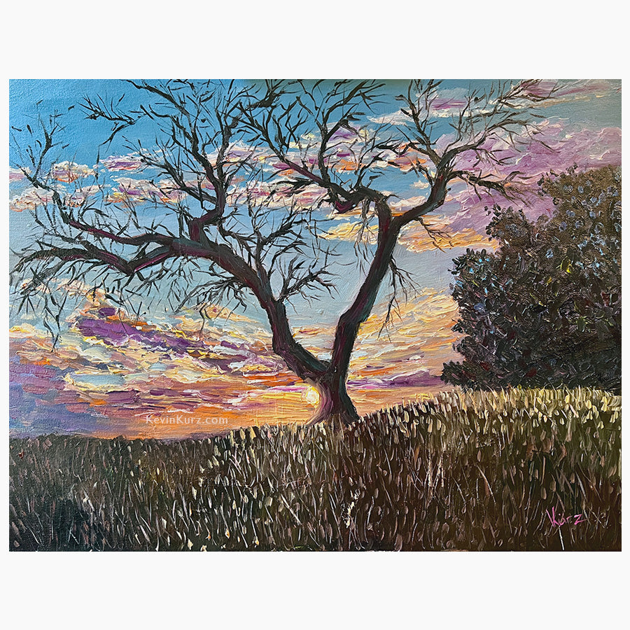 Texas Sunrise