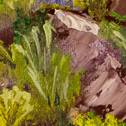 Bubbling Mountain Brook