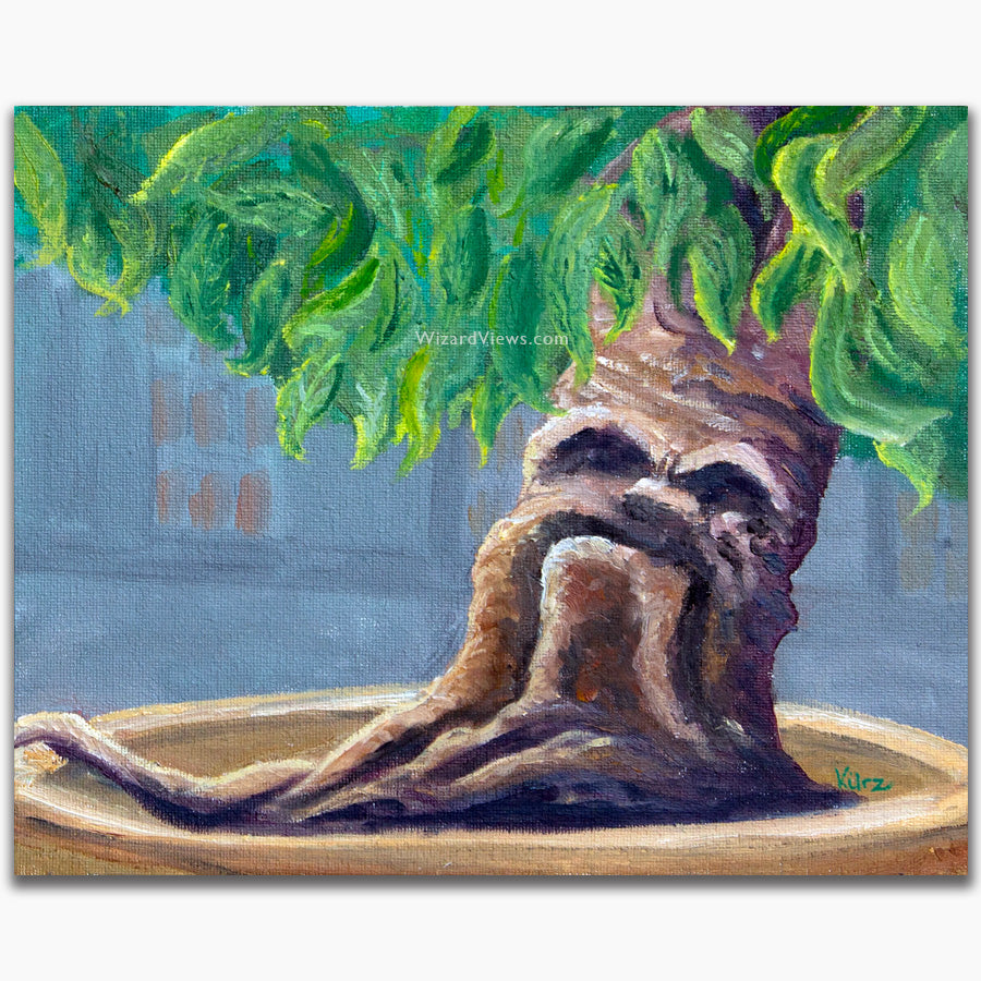 Mandrake