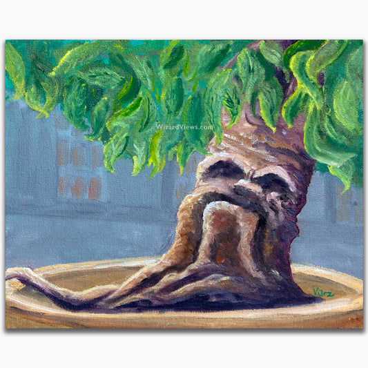 Mandrake