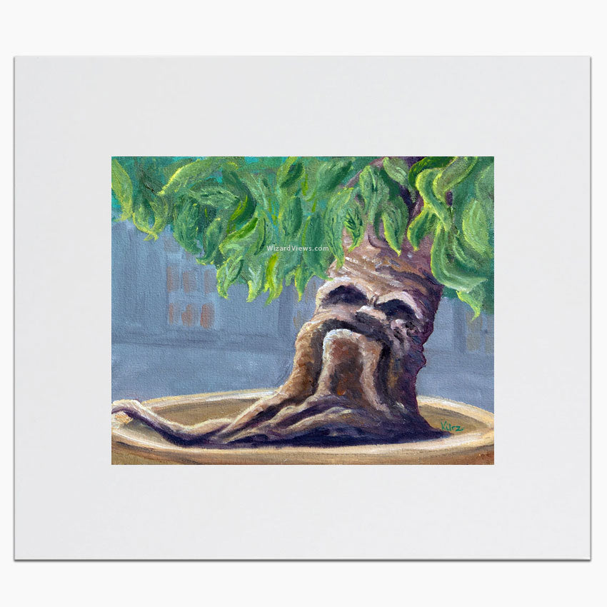 Mandrake