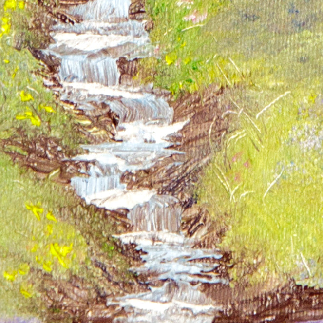 Meadow Brook Surprise