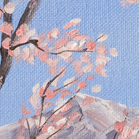 Spring Blossoms