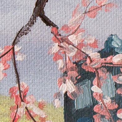 Spring Blossoms