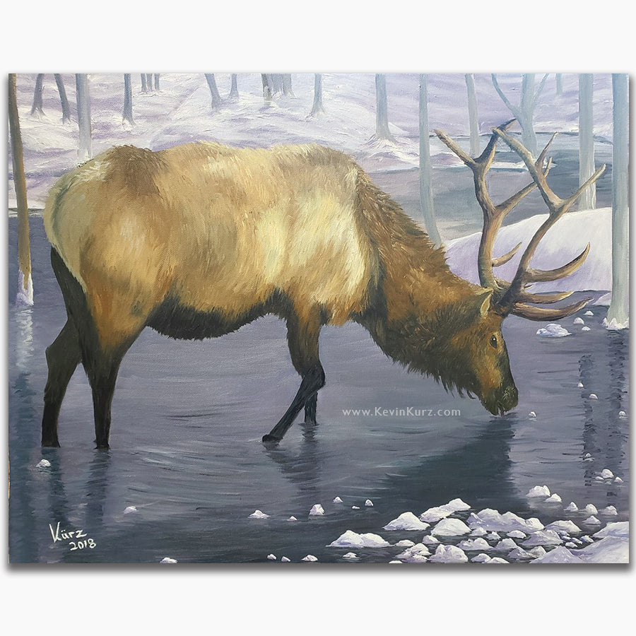 Winter Elk